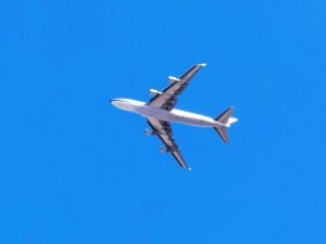 IMG_4352