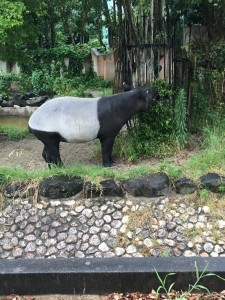 動物園2