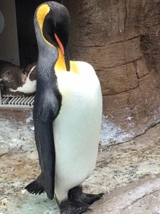 動物園3