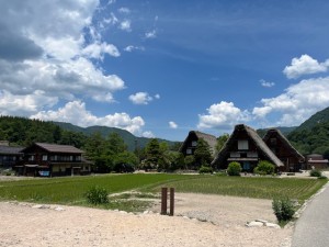 IMG_1816