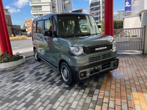 ボタニカルグリーン×ブラックエンブレム