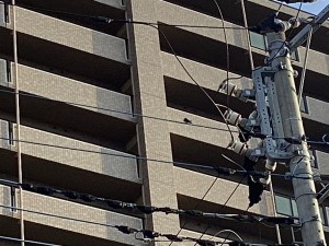 IMG_0816