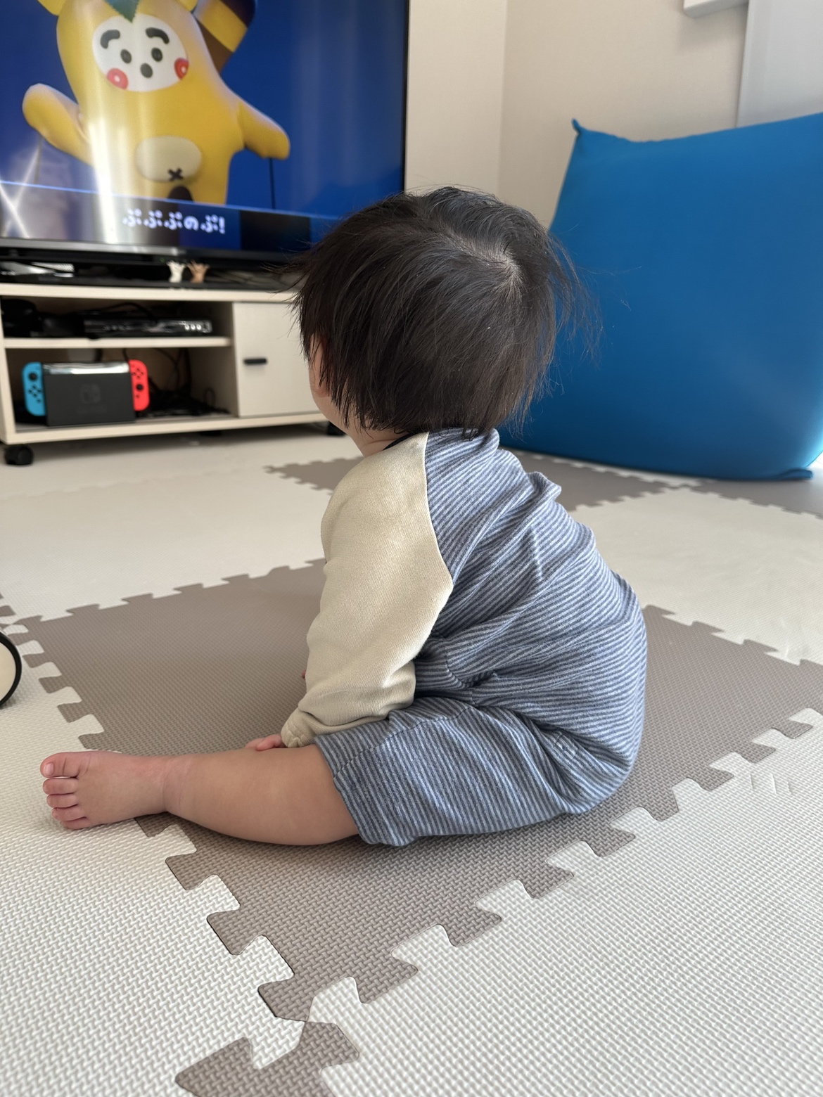 そらちゃんお座り