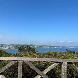 IMG_0184